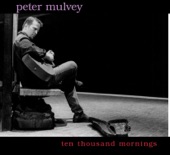 Peter Mulvey - Stranded In A Limosine