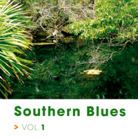 Various Artists - Southern Blues, Vol. 1 artwork