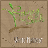 Sowing the Seeds artwork