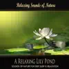 A Relaxing Lily Pond (Nature Sounds) album lyrics, reviews, download