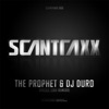 The Prophet - Shizzle (2011 Remuxx)