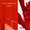 Pop Ambient 2001, 2001