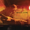 Ronnie Dunn (Deluxe Edition), 2011