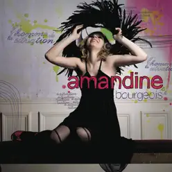 L'homme de la situation (Radio Edit) - Single - Amandine Bourgeois L'homme de la situation (Radio Edit) - Single - Amandine Bourgeois