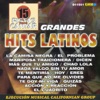Pistas Para Cantar Grandes Hits Latinos, 2007