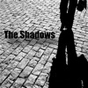 The Shadows, 1991