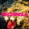 Rectangle - Le 1/4 d'heure américain (Part 1)