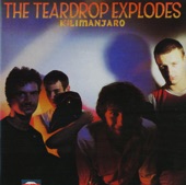 The Teardrop Explodes - Sleeping Gas