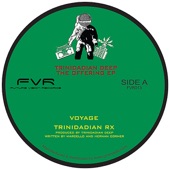 Voyage Trinidadian (Remix) artwork