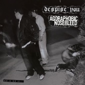 Fear's Song by Despise You