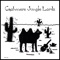 Eye of the Needle/Giddyup, Camel! - Cashmere Jungle Lords lyrics