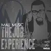 The Job Experience - Single album lyrics, reviews, download