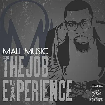 The Job Experience - Single - Mali Music