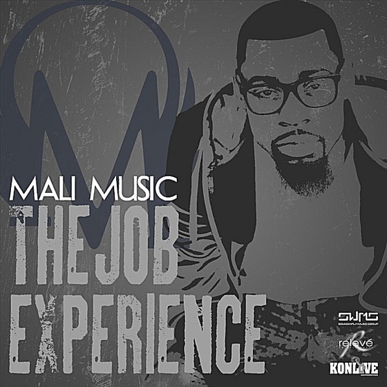 Cover artwork for The Job Experience