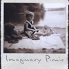 Imaginary Picnic, 2009