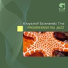 Krzysztof Scieranski Trio - Coma