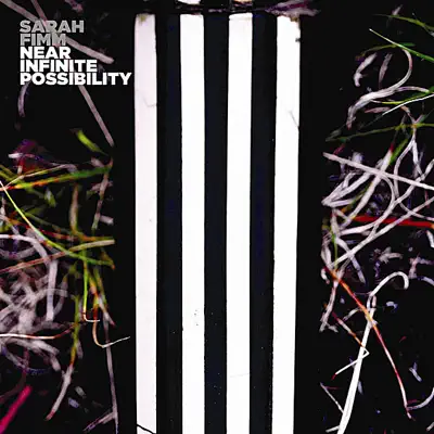 Near Infinite Possibility - Sarah Fimm