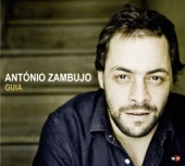 António Zambujo - Barroco Tropical