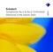 Symphony No. 5 in B-Flat Major D. 485: I. Allegro - Nikolaus Harnoncourt & Royal Concertgebouw Orchestra lyrics