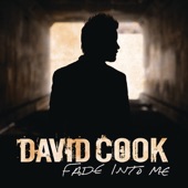 David Cook - Fade Into Me - Radio Edit