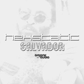 Salvador (Seiji's Bugz In The Attic remix) artwork