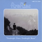 Fireflies - Summer Has Gone