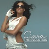 The Evolution (Bonus Track Edition), 2006