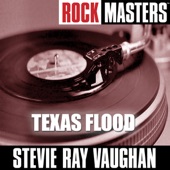 Stevie Ray Vaughan - Big Tex Blues