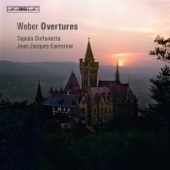 Peter Schmoll und seine Nachbarn, J. 8: Overture artwork