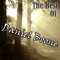 Sunshine Lover - Daniel Boone lyrics