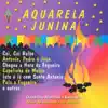 Stream & download Alegria no Arraia - Olha pro ceu - Chora viola - O Sanfoneiro so tocava isto - Mulher redeira - Festa no arraia - Naquele Sao Jao - E madrugada