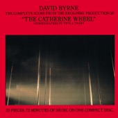 David Byrne - My Big Hands ( Fall Through The Cracks )