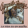 La Vida Es un Sueño