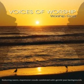 Voices of Worship - Favorite Praise & Worship Songs artwork