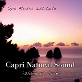 Sounds Of The Earth - Seagulls, Wind and Waves and the Seashore