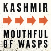 Mouthful of Wasps artwork