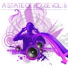 A State of House, Vol. 6