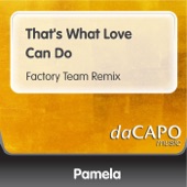 That's What Love Can Do (Factory Team Remix) artwork