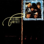 Everything Is Wonder