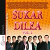 Sukar Dilea Vol.2 (Pure Madness Vol.2)