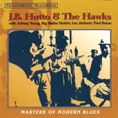 Masters of Modern Blues (feat. Big Walter Horton, Fred Below, Lee Jackson & Johnny Young) artwork