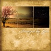Community Bible Church - Hosanna