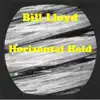 Horizontal Hold album lyrics, reviews, download