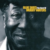 Muddy Waters - Mannish Boy