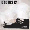 Cactus 12