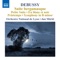 Symphony in B minor (arr. T. Finno for orchestra): III. Primo tempo artwork