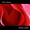 Mars Lasar - Many Miles - Olympus