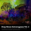 Deep House Extravaganza, Vol.2