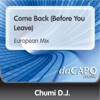 Come Back (Before You Leave) - Single