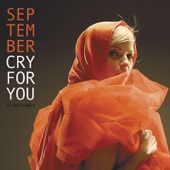 Cry for You (Extended Mix) artwork